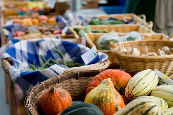 Open Skies Farm